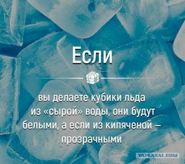 Куча мала 11