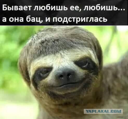 Среды картинки