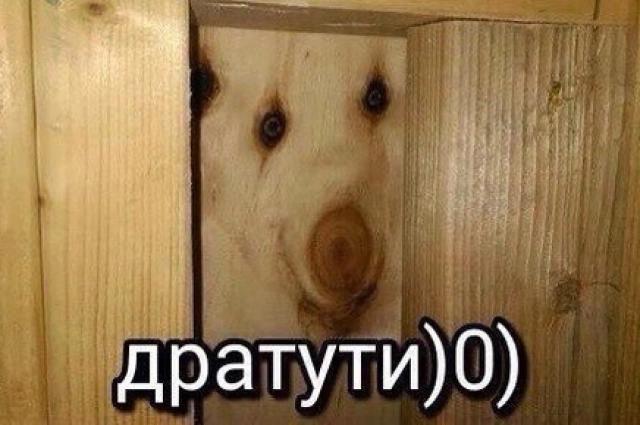Зумеры в соцсетях массово ностальгируют по 2016-му