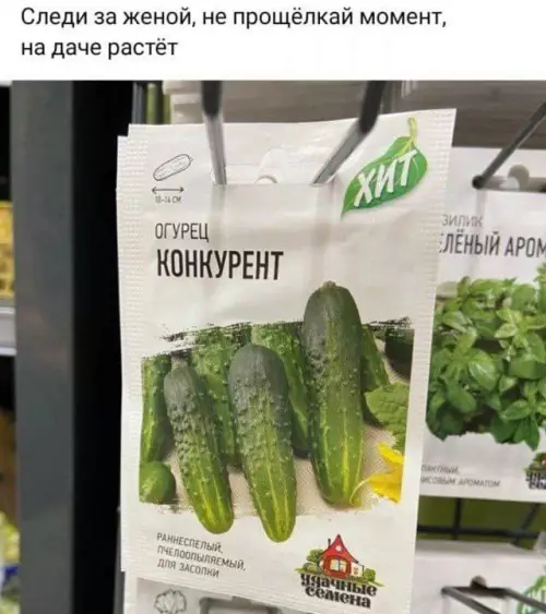 Картиночки, баянчики 05 марта