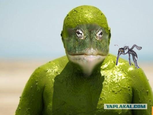 шрек