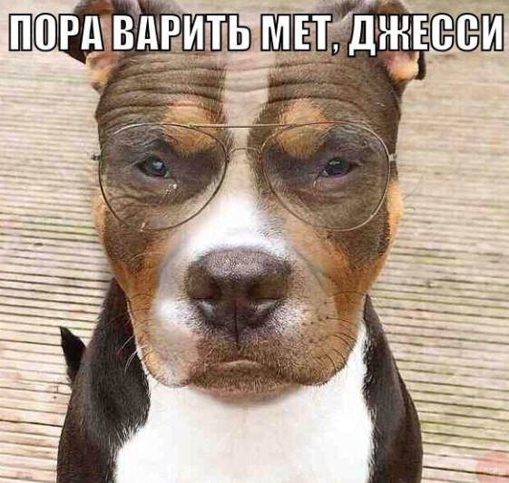 Картиночки, баянчики 25 апреля