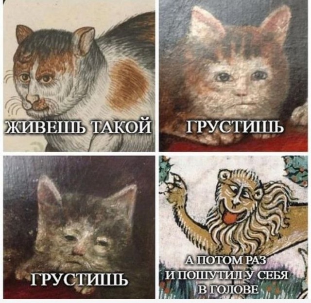 К котовторнику: подборка картинок-баянов с котиками и про котиков. Выпуск 40.