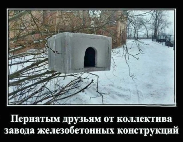 Картинки для деградации 230 (разной степени свежести)