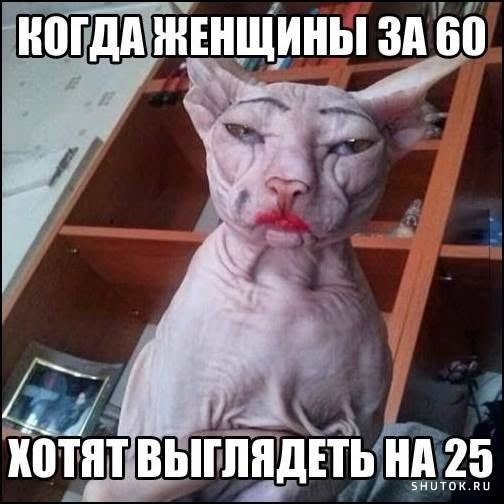 Картинки для деградации 234 (разной степени свежести)