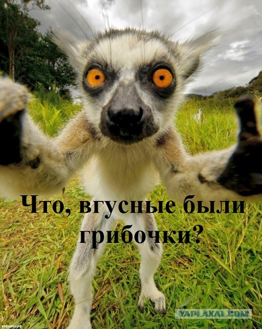 Ты кто?!