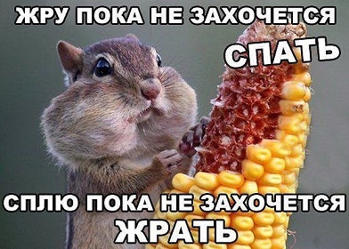 Лента анекдотов на субботу 02.11.13