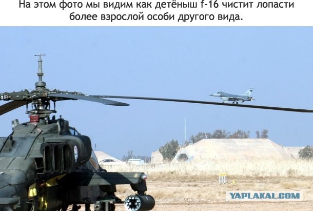 Лучшие фотоиллюзии года