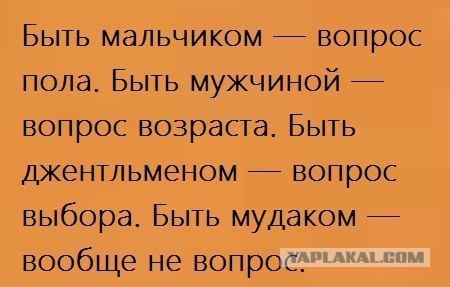 Рассудите правильно ли поступил.