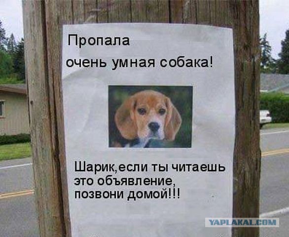 Смешные картинки из инета