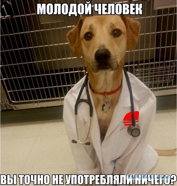 Освобожден Павел Губарев!