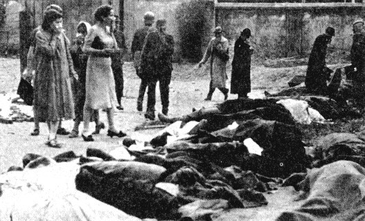 14 января 1944 фашисты убили в Оле 1758 человек