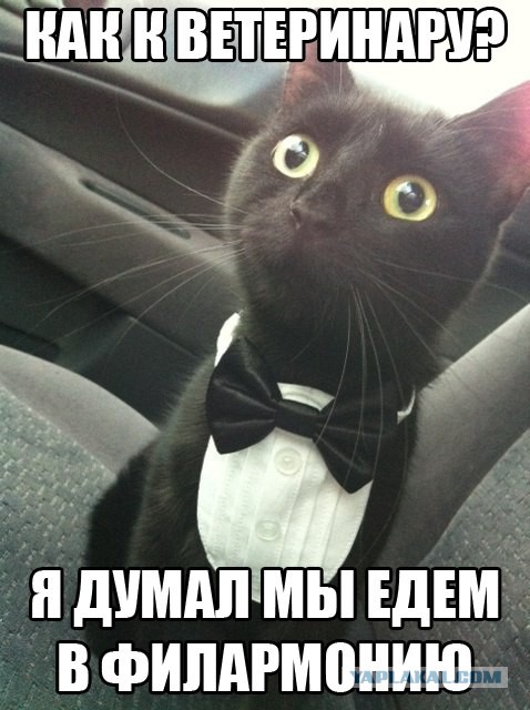 Комменты из соцсетей