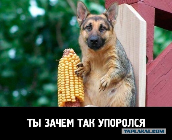 Радикалы «Правого сектора» опубликовали ультиматум