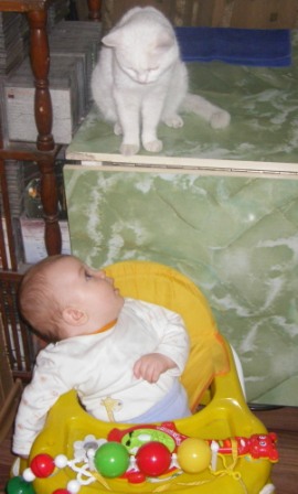 Котовторник 16.09.14
