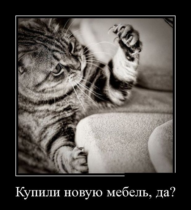 Демотиваторов пост