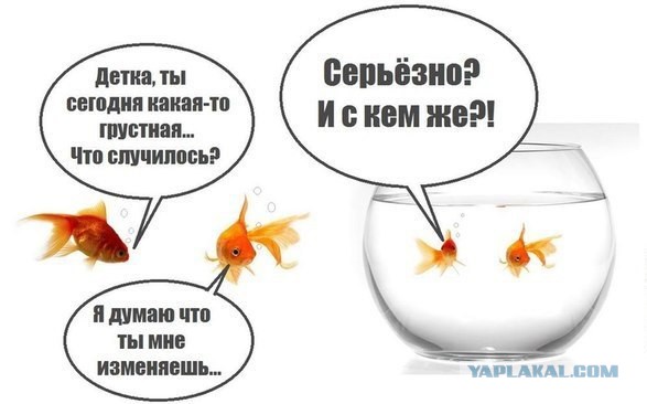 Немного позитива на пятницу