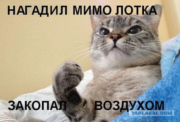 Немного картинок и юмора
