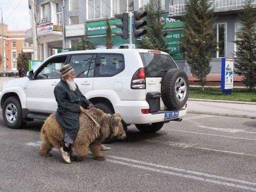 Весёлые картинки