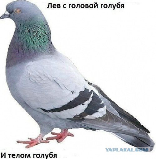 1 апреля. Из завалявшегося...
