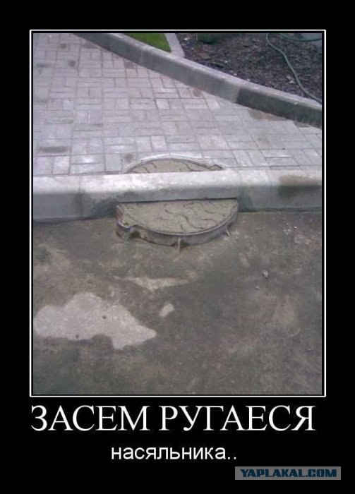Равшан и Джимшуд форева!