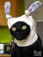 Главная ошибка женщин, которые хотят замуж