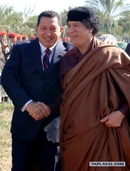 Я никогда не оставлю землю ливийскую...