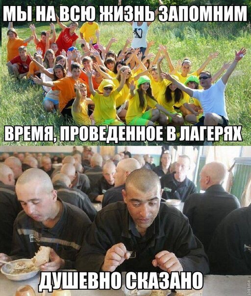 Ужасы и приколы из соцсетей 18+