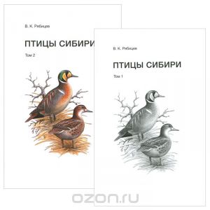 Я вижу птиц (с)