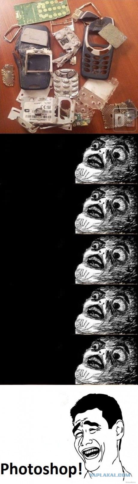 Несерьезные картинки на воскресенье