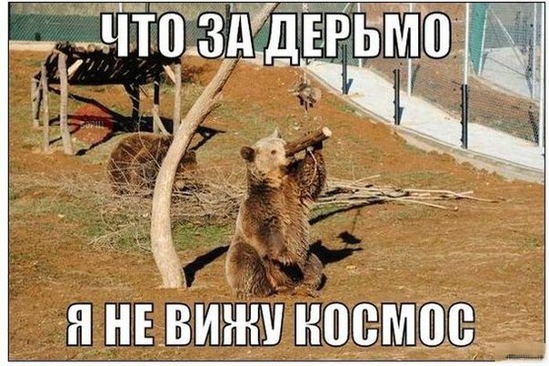 Забавные картинки из Сети