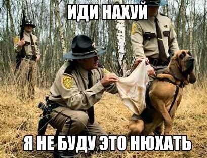 7 невероятных находок, сделанных на таможне