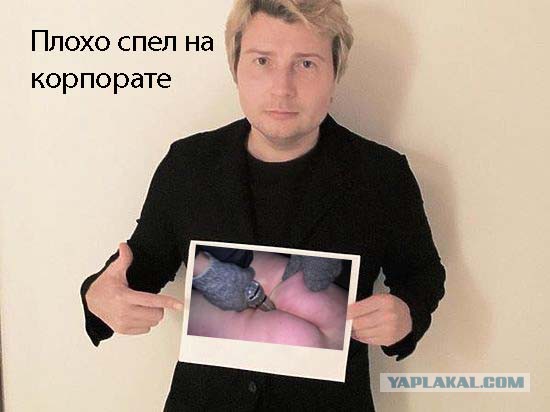 Интернет-пользователи иронично «затроллили» флешмоб звезд шоу-бизнеса