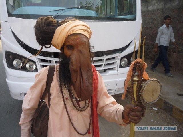 Такое увидишь только в Индии