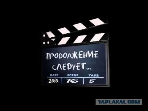 Исчезающая собака