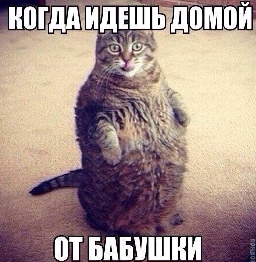 Подборка Картинок из сети