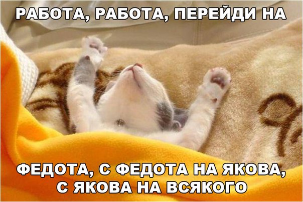 Мохнатые беспредельщики