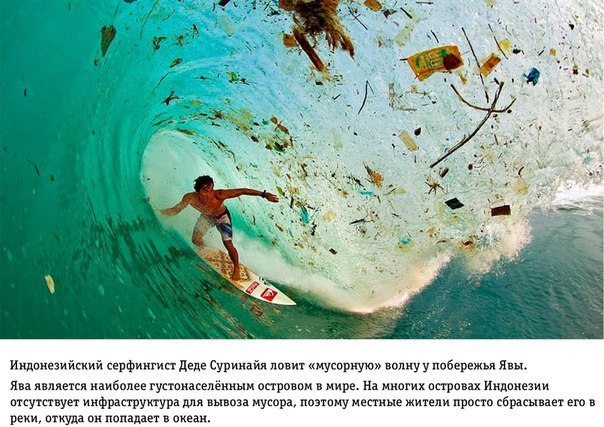 Интересные и веселые картинки