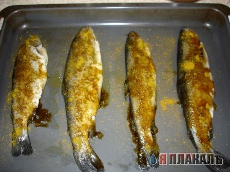 Все из рыбы!