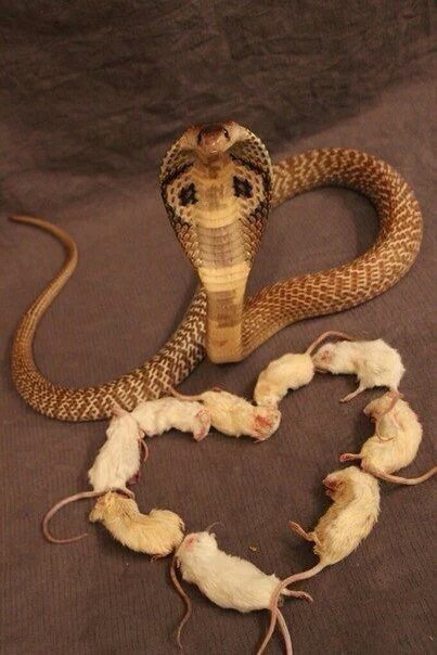 Подборка интересных и веселых фото