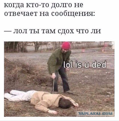 Смешные комментарии из социальных сетей 03.06.2016