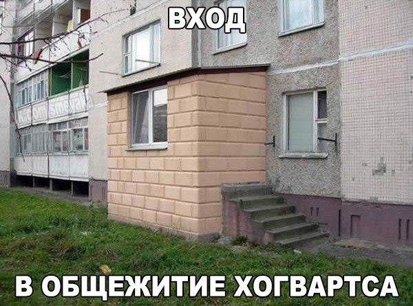 Ассорти картинок из сети