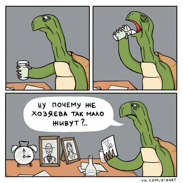 Подборка частицы смеха...