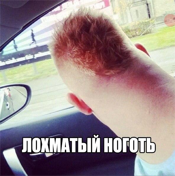 Фото из этих ваших интернетов