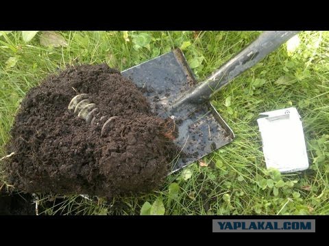 Все знакомы с цыганскими фуфель-рублями. А как насчет фуфуль-кладов?