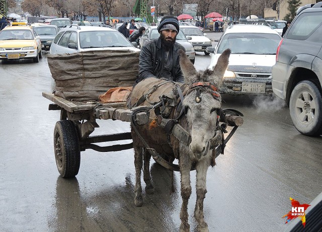 Почему в Афганистане никогда не будет мира