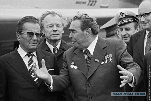 Шурыгина говорите? Салага она!