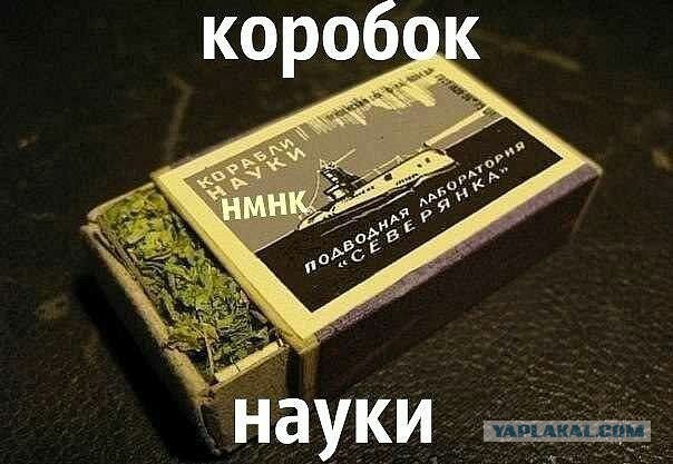 Мой поток сознания!
