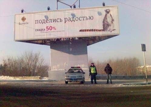 Картинки всякие для поднятия настроения!