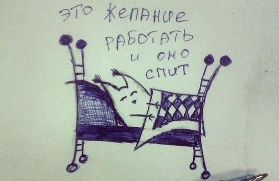 15 самых правдивых историй из жизни настоящих лентяев!